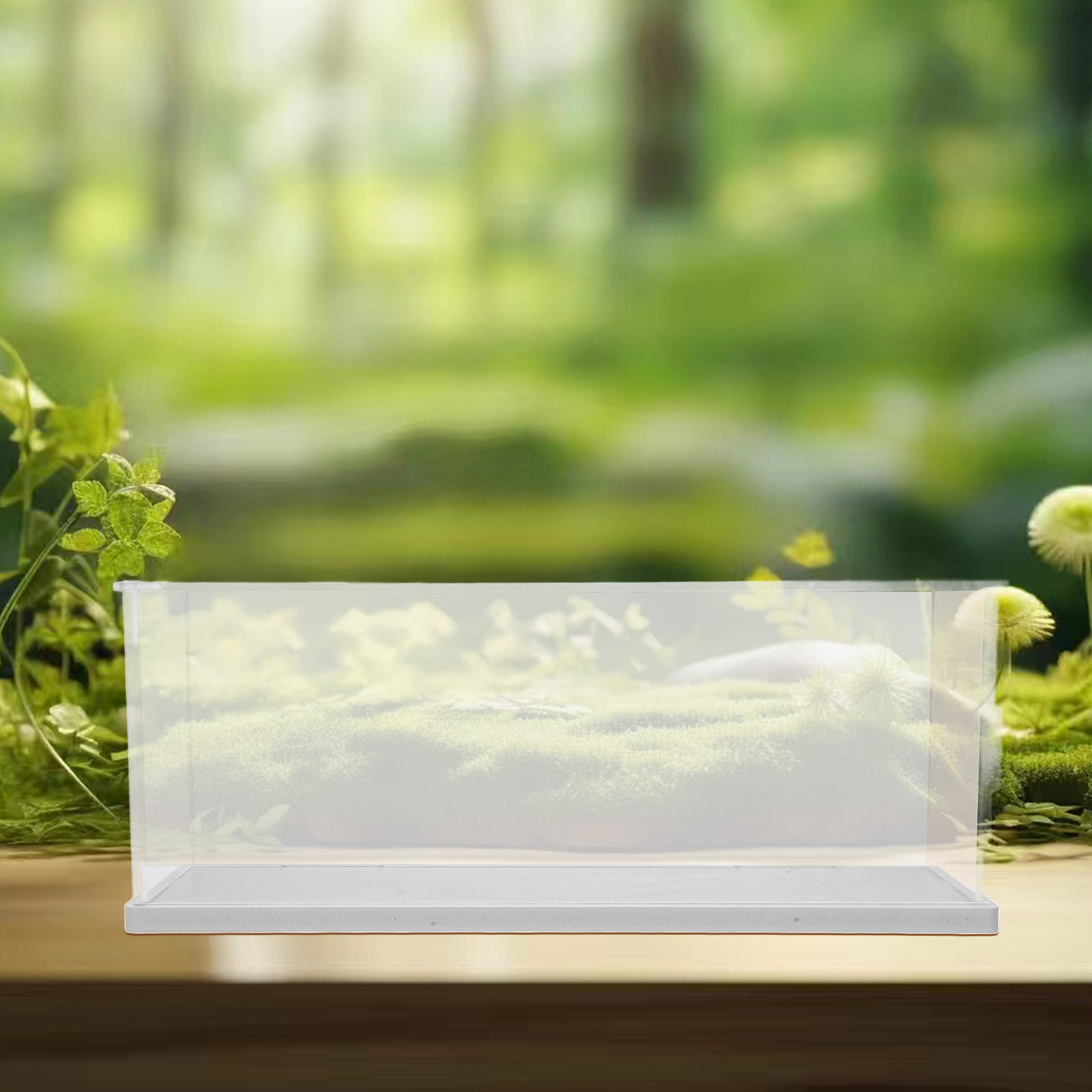 Clear Acrylic Display Case Tra - Shoe Box Display review and price